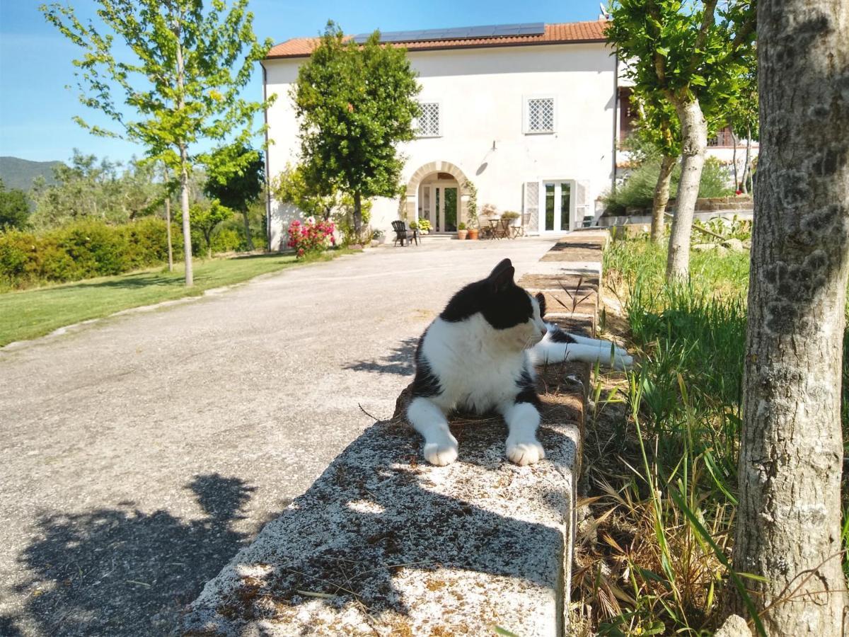 Le Piracante Caiazzo Exterior foto